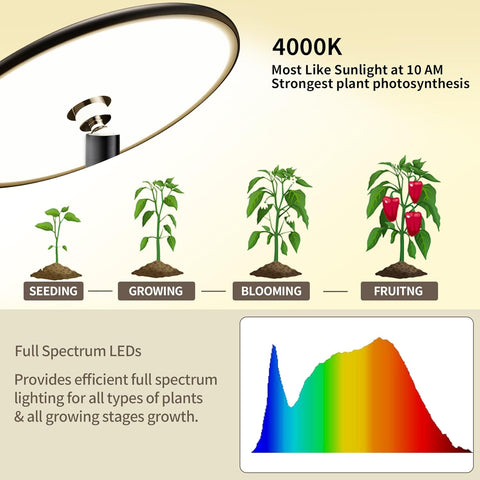 Adjustable Full Spectrum LED Grow Light - 40W, 2300-6500K, 10-Level Dimmable, Up to 69'' Height, Optional Tray, Remote & Timer - Chiphy