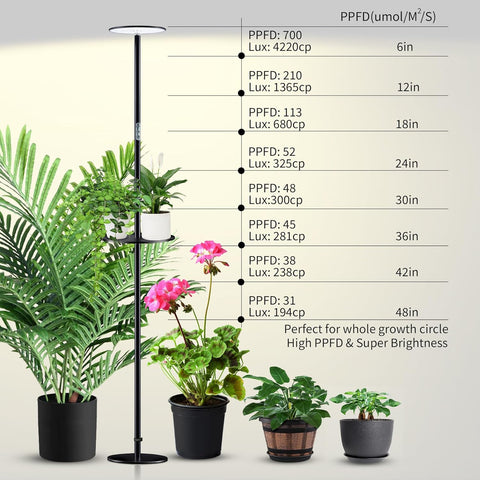 Adjustable Full Spectrum LED Grow Light - 40W, 2300-6500K, 10-Level Dimmable, Up to 69'' Height, Optional Tray, Remote & Timer - Chiphy