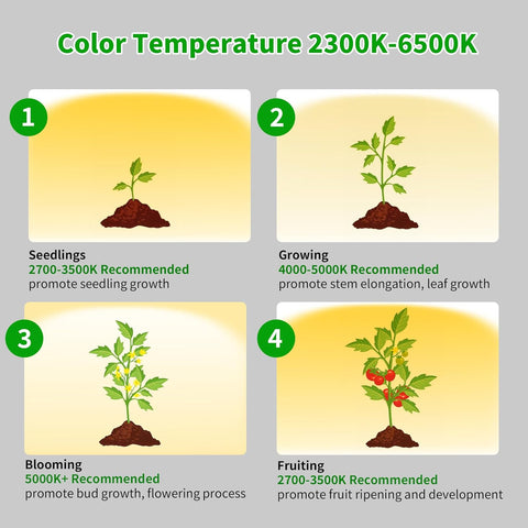 Adjustable Full Spectrum LED Grow Light - 40W, 2300-6500K, 10-Level Dimmable, Up to 69'' Height, Optional Tray, Remote & Timer - Chiphy