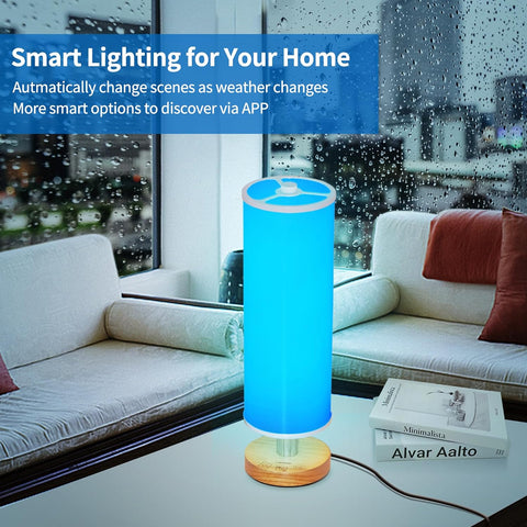 Smart RGB Table Lamp - Dimmable, Color Changing, Voice & App Control, USB Charging, Customizable - Chiphy