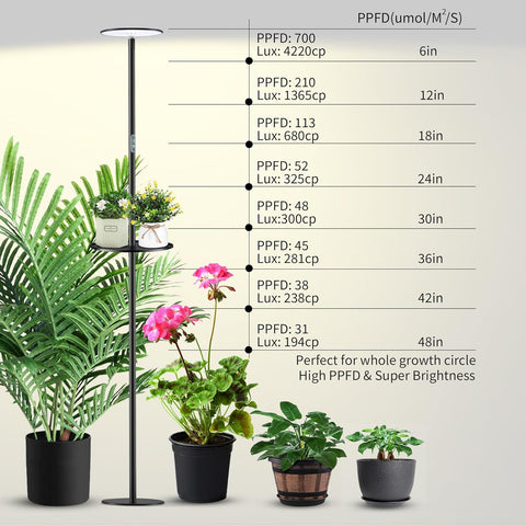 Adjustable Full Spectrum LED Grow Light - 40W, 2300-6500K, 10-Level Dimmable, Up to 69'' Height, Optional Tray, Remote & Timer - Chiphy