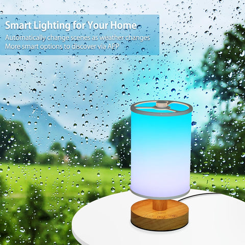 Smart RGB Table Lamp - Dimmable, Color Changing, Voice & App Control, USB Charging, Customizable - Chiphy