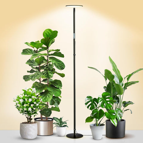 Adjustable Full Spectrum LED Grow Light - 40W, 2300-6500K, 10-Level Dimmable, Up to 69'' Height, Optional Tray, Remote & Timer - Chiphy